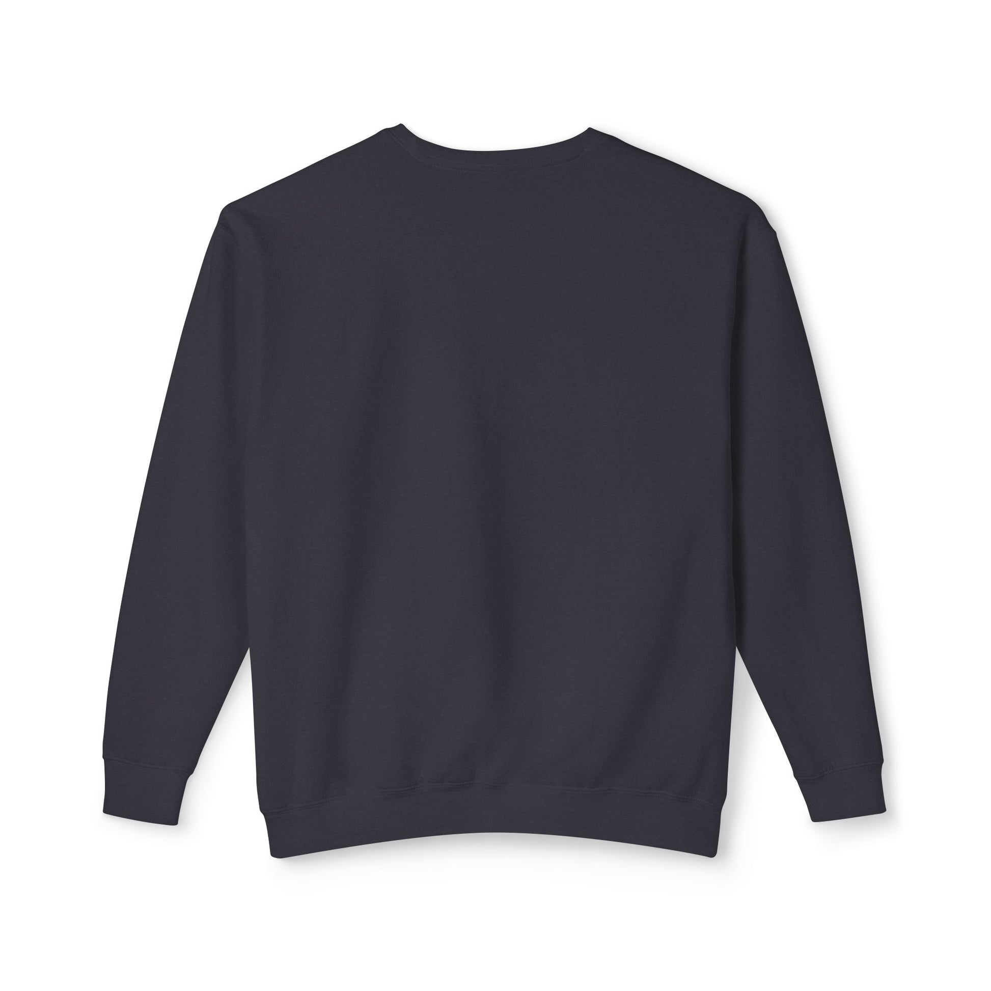 &quot;Wealth in Ruins&quot; Sweatshirt
